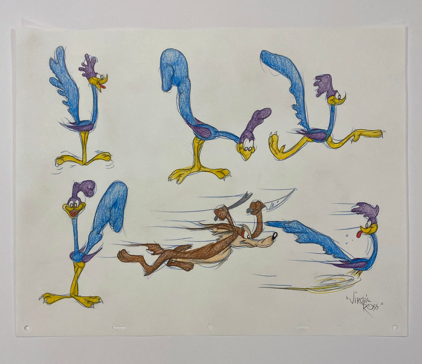 Original Warner Brothers Virgil Ross Model Sheet Animation Drawing featuring Road Runner and Wile E. Coyote