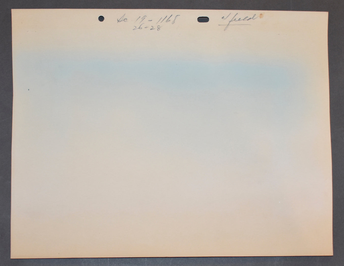 Original Warner Brothers Production Background from Lovelorn Leghorn