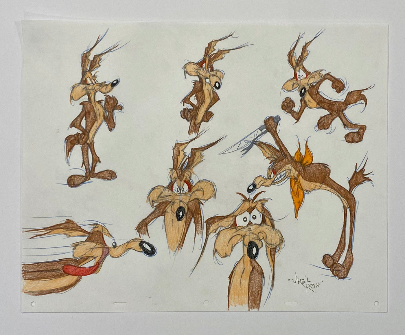Original Warner Brothers Virgil Ross Model Sheet Animation Drawing featuring Wile E. Coyote