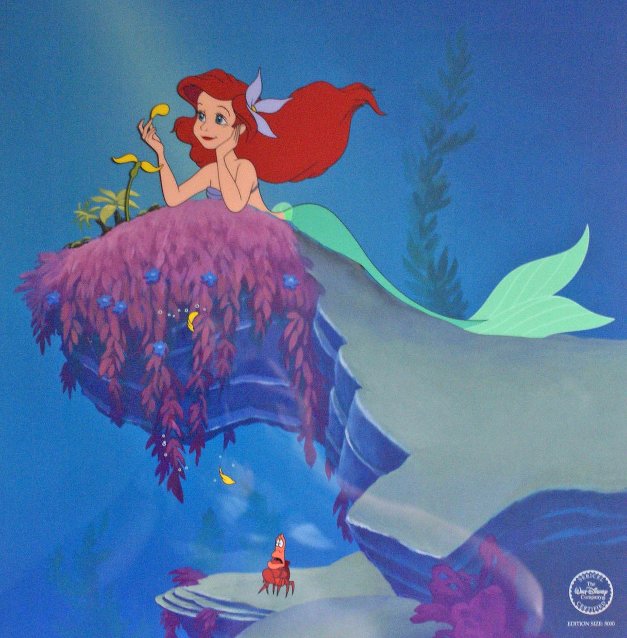 Original Walt Disney Limited Edition Sericel fro the Little Mermaid