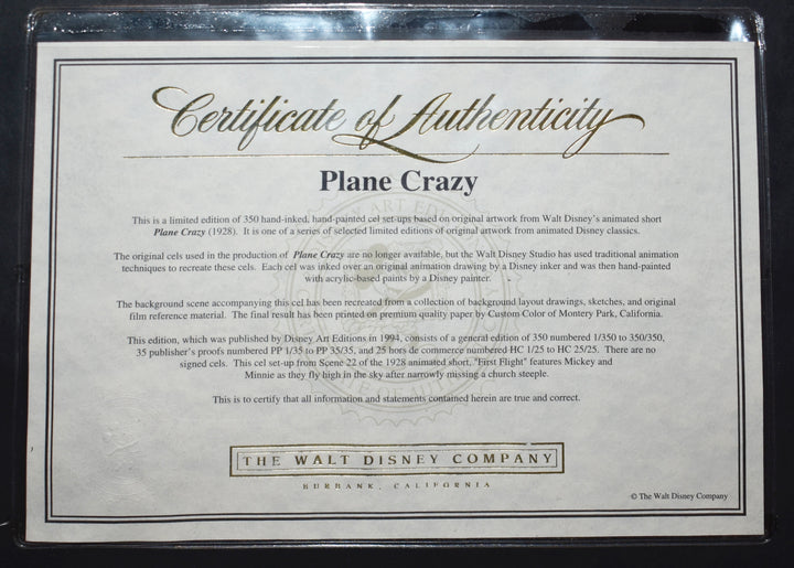 plane_crazy_cert_720x.jpg?v=